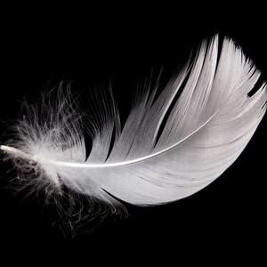 Meet your Posher, Jeanne